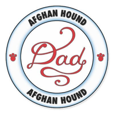 Afghan Hound Dad by cartoondogs