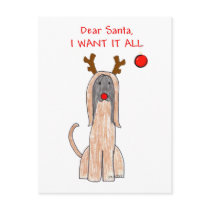 Afghan Hound Dear Santa Postcard