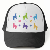 Afghan Hound Designer