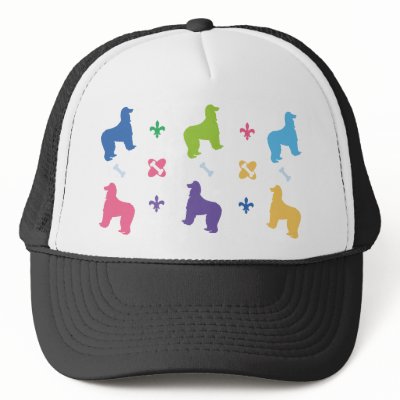 Afghan Hound Designer by DogPark