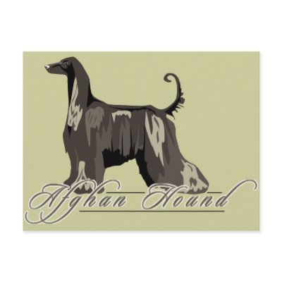 Afghan Hound, Detailed, Black Postcards by DDGraphix