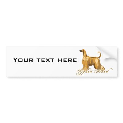 Afghan Hound, Detailed, Gold Bumper Sticker by DDGraphix