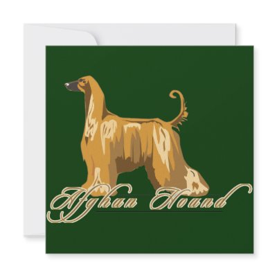Afghan Hound, Detailed, Gold Custom Invitations by DDGraphix