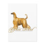 Afghan Hound, Detailed, Gold Postcard