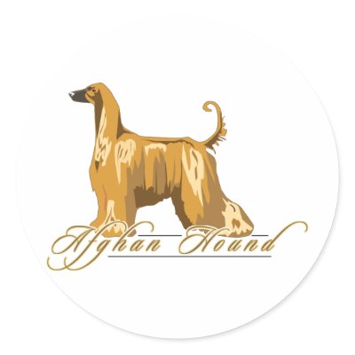 Afghan Hound, Detailed, Gold Sticker by DDGraphix