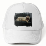 Afghan Hound Dog Baseball Hat