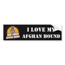Afghan Hound Dog Lover