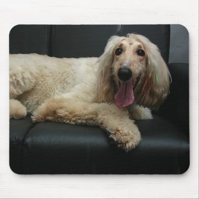 Afghan Hound Dog Mouse Pad by DogPoundGifts