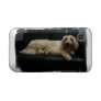 Afghan Hound Dog Samsung Galaxy Case