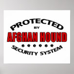 Afghan Hound Dog Security Print
