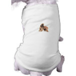 Afghan Hound pet clothing