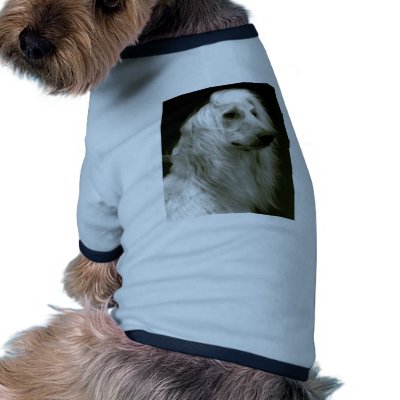 Afghan Hound Pet Tee by Julianauip