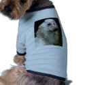 Afghan Hound pet clothing
