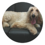 Afghan Hound Dog Stickers