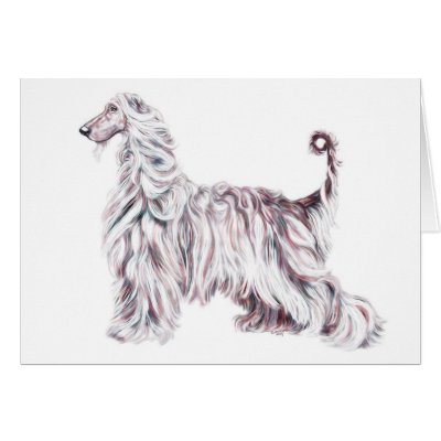 Afghan Hound Elegance Greeting Cards by DanesRUs