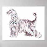 Afghan Hound Elegance Print