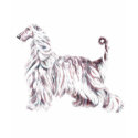 Afghan Hound Elegance t-shirts