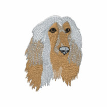 Afghan Hound
