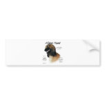 Afghan Hound (fawn) History Design bumper stickers