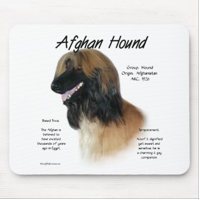 Afghan Hound (fawn) History Design Mousepads by GreyWolfCreation