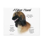 Afghan Hound (fawn) History Design