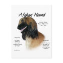 Afghan Hound (fawn) History Design postcards