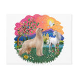 Afghan Hound (fawn, standing)
