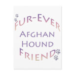 Afghan Hound Furever Postcards