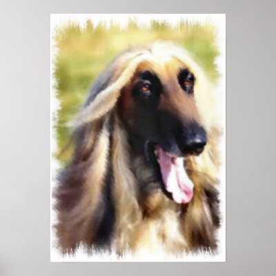Afghan Hound Gifts of Art Posters by DogsByDezign