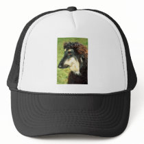 Afghan Hound Trucker Hats