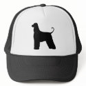 Afghan Hound hats