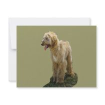Afghan Hound Invitations