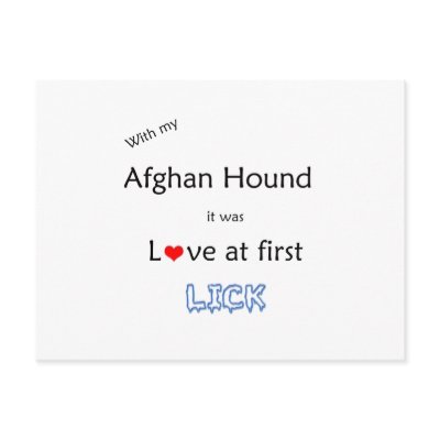 Afghan Hound Lick Design Postcard by GreyWolfCreation