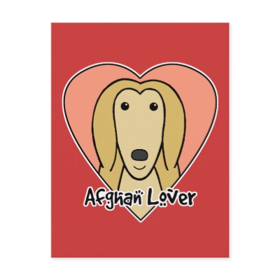 Afghan Hound Lover Post Card by dogcartoons