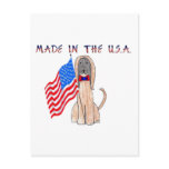Afghan Hound Made In The USA Postcard