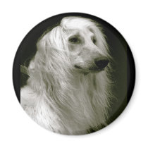 Afghan Hound Magnet