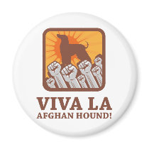 Afghan Hound