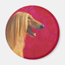 Afghan Hound Magnet