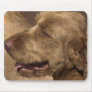 Afghan Hound Mouse Pad