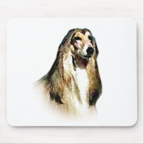 Afghan Hound