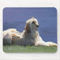Afghan Hound Mouse Mats