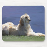 Afghan Hound mousepads
