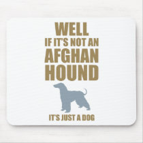 Afghan Hound