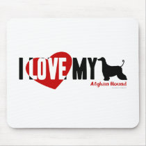 Afghan Hound