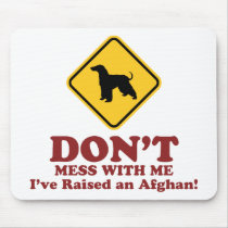 Afghan Hound