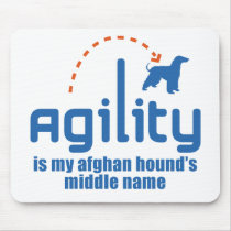 Afghan Hound