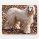 Afghan Hound Mouse Pads