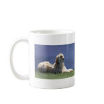 Afghan Hound mugs
