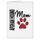Afghan Hound Mum 2