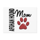 Afghan Hound Mum 2